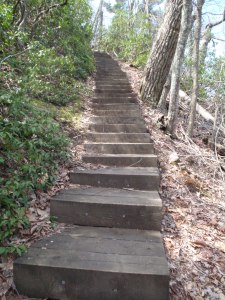 Apple Orchard stairs